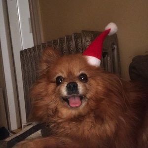 Meet your Posher, Nina